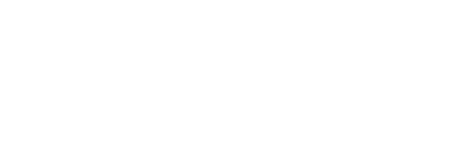 CONECTA MX